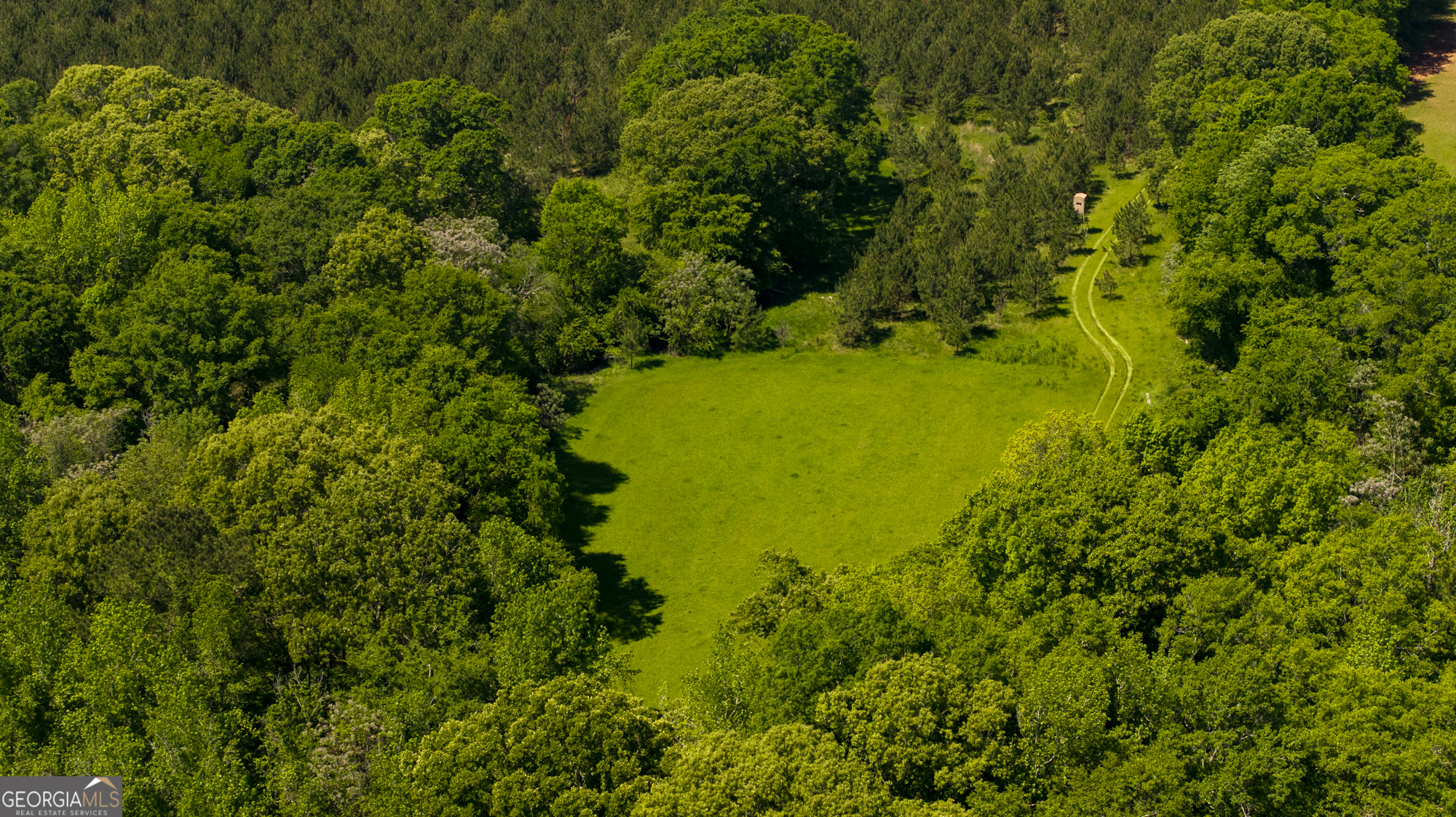 98 Acres /- George Smith Talbotton, GA 31827 - Photo 7 of 23 a view of a garden
