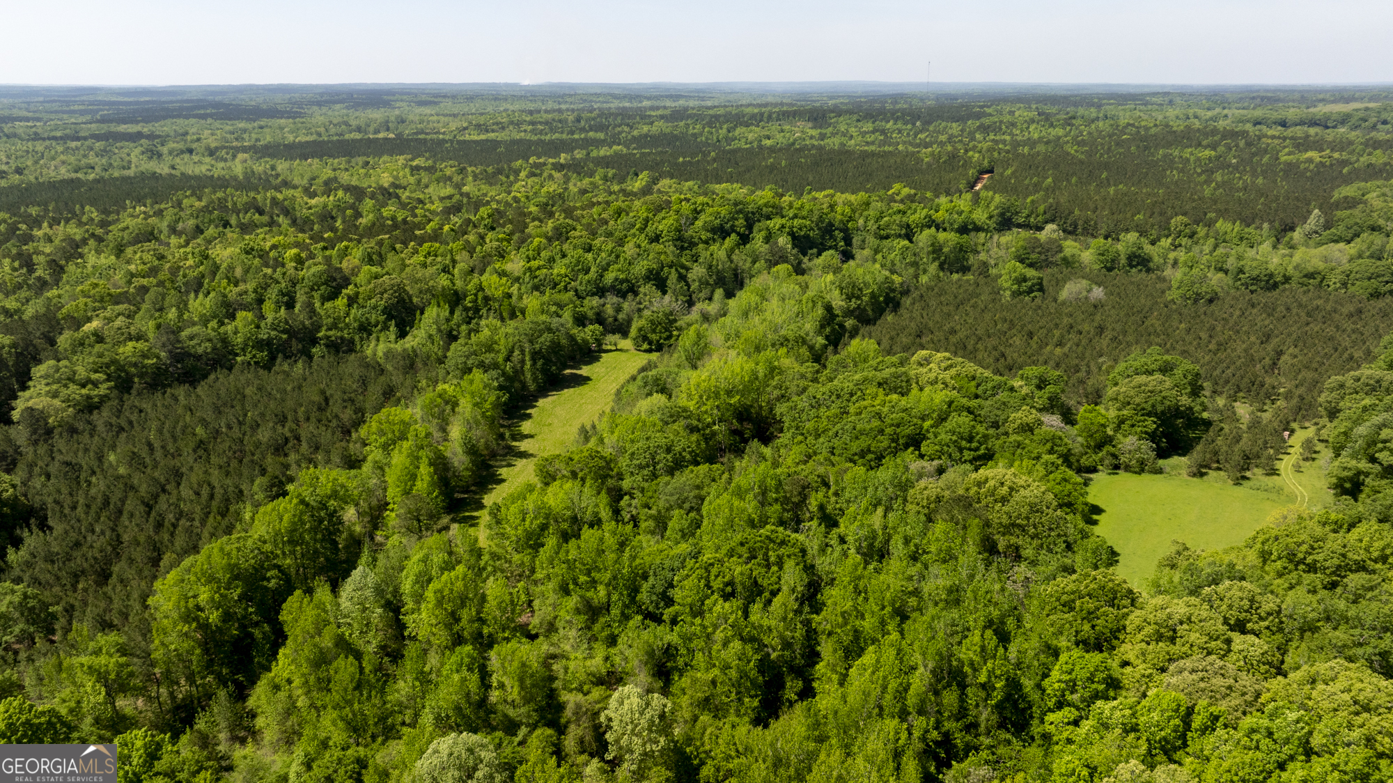 98 Acres /- George Smith Talbotton, GA 31827 - Photo 8 of 23 a view of a green field with lots of bushes