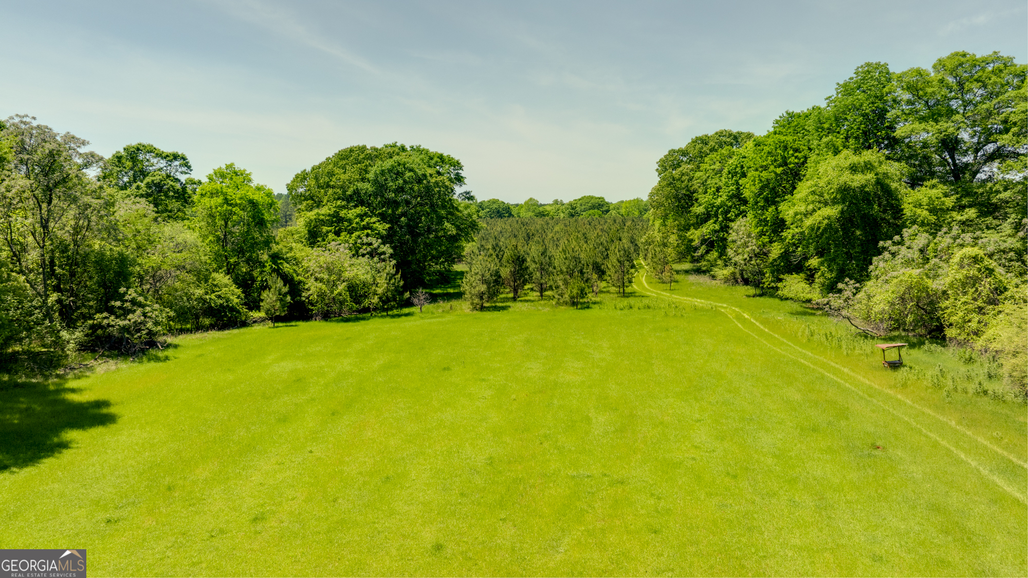 98 Acres /- George Smith Talbotton, GA 31827 - Photo 9 of 23 a view of yard with green space