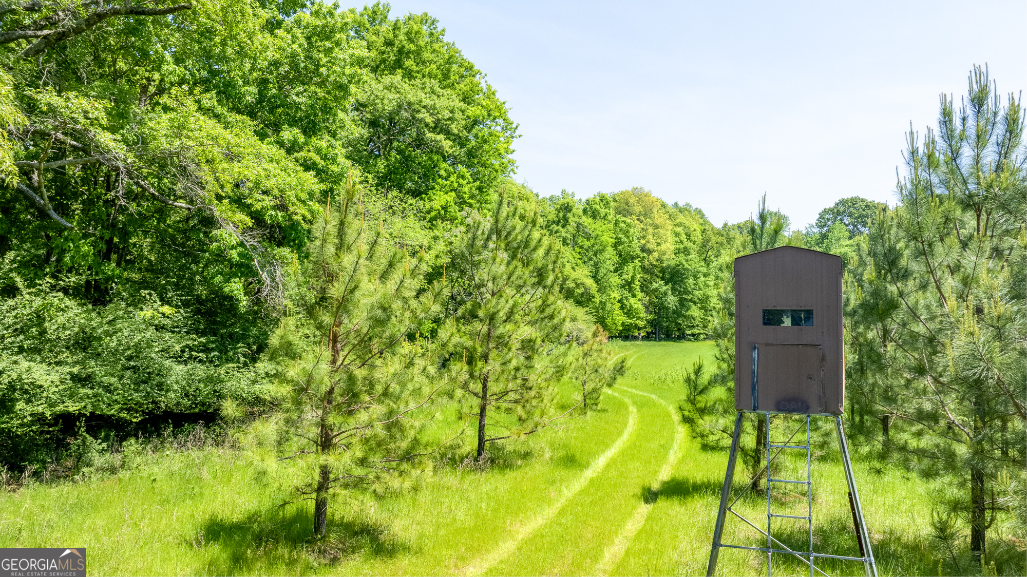 98 Acres /- George Smith Talbotton, GA 31827 - Photo 10 of 23 a backyard of a house with a garden and plants