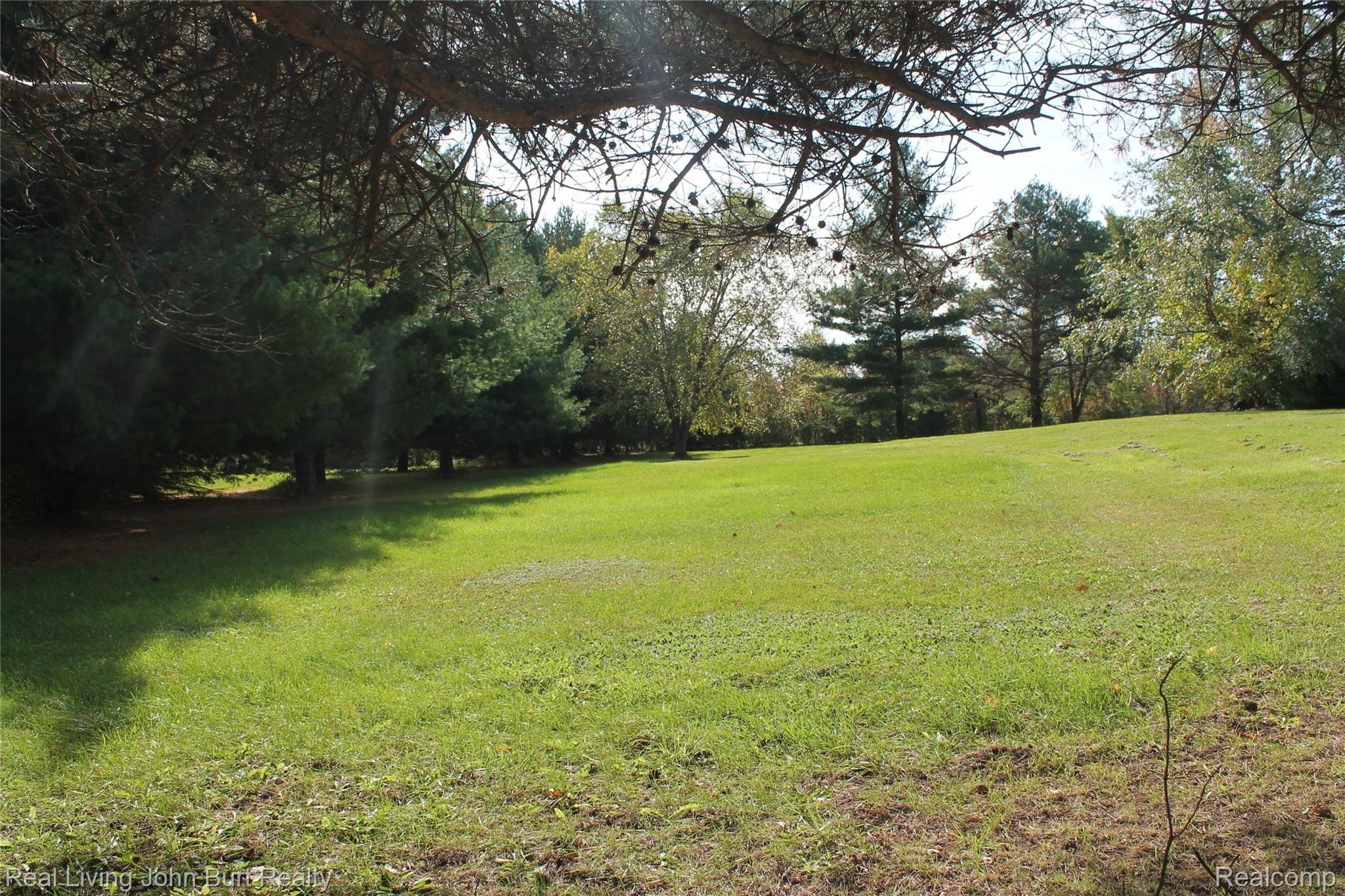 7573 Bordman Road Almont, MI 48003 - Photo 6 of 33 IMG_9599.JPG