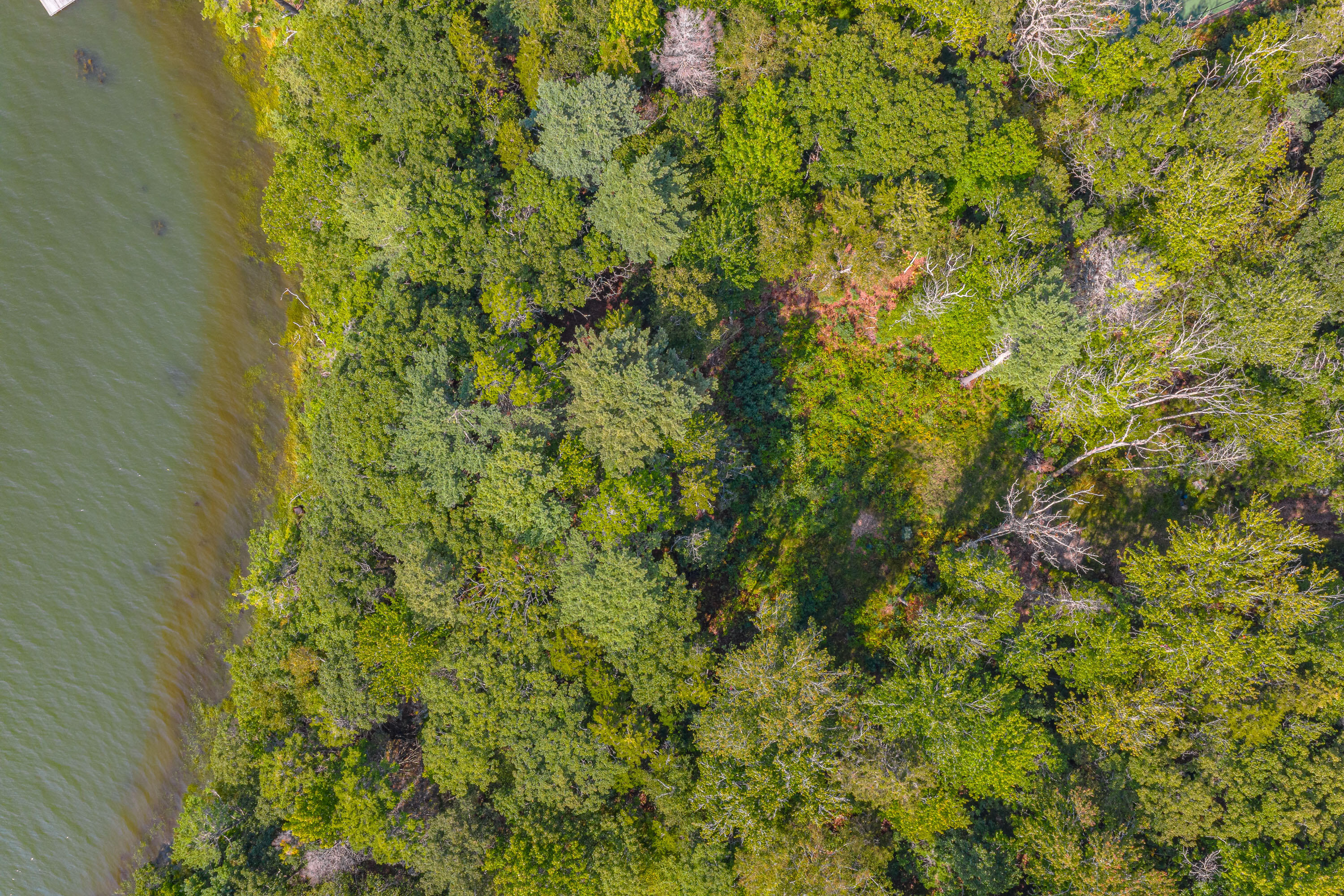 0 Gundalow Gap Road Brunswick, ME 04011 - Photo 2 of 3 14_650 Mere Point Rd_MorneauStudios_Prin