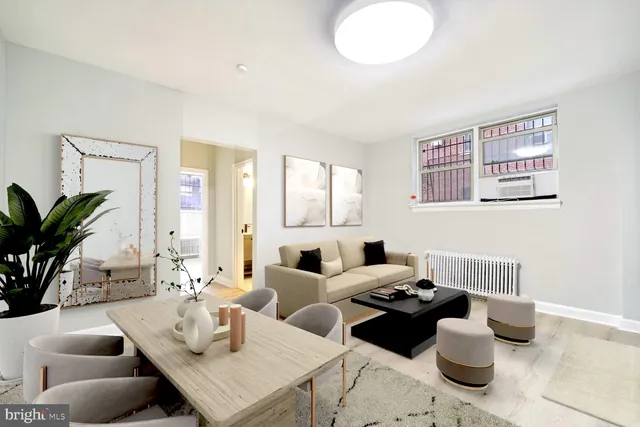 a living room with furniture and a potted plant