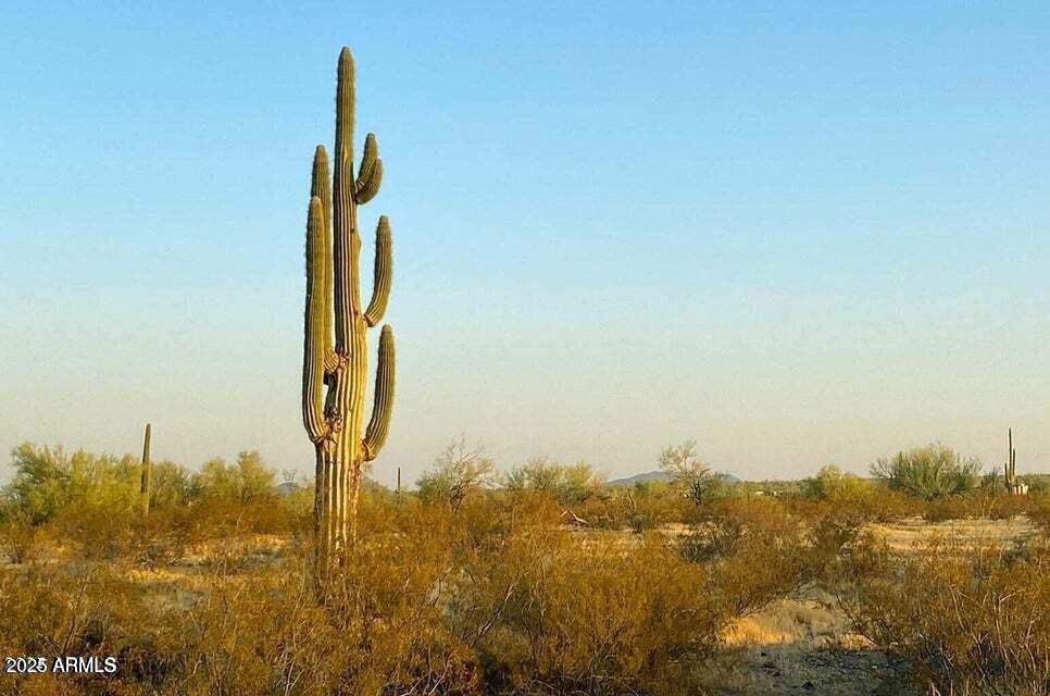 3016 South Liebre Road, Unit 26 Maricopa, AZ 85139 - Photo 13 of 23 20250104095006165857000000-o (1)