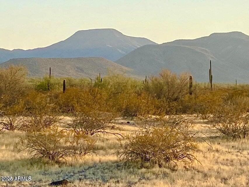 3016 South Liebre Road, Unit 26 Maricopa, AZ 85139 - Photo 18 of 23 20250104094236362689000000-o (1)
