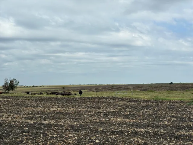 a view of an ocean beach