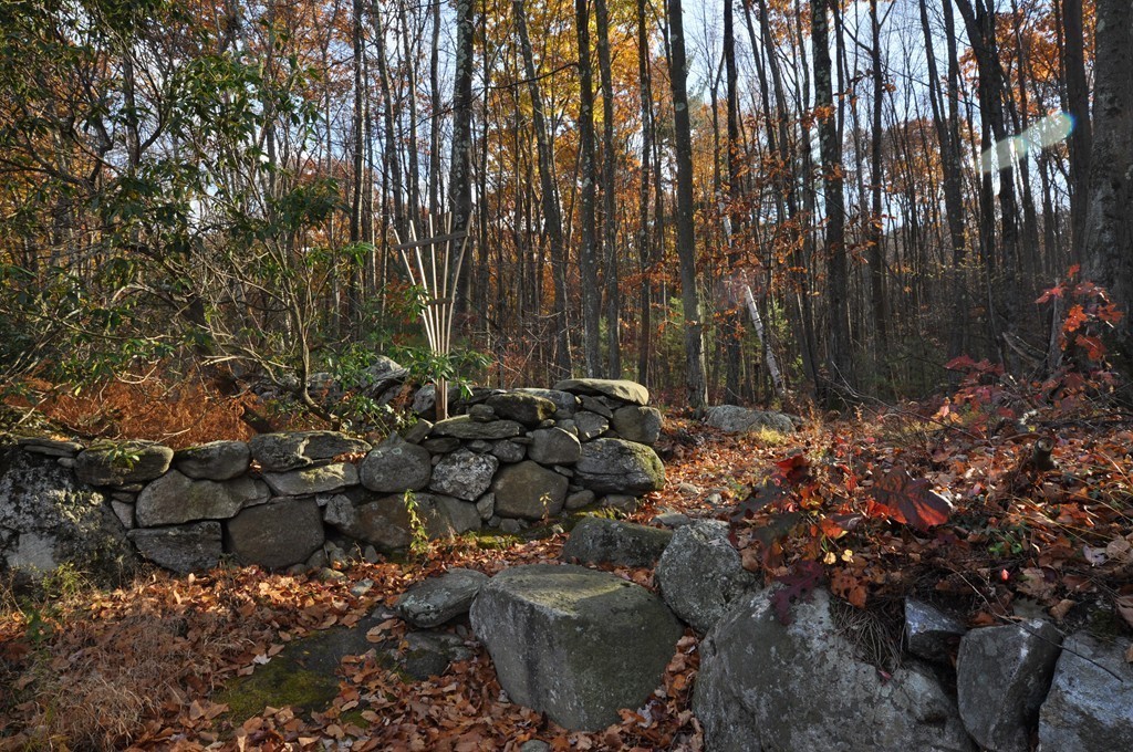 16 Francine Road Acton, MA 01720 - Photo 2 of 30 Gallery Image 2