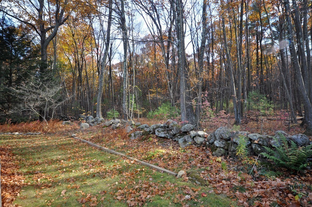 16 Francine Road Acton, MA 01720 - Photo 29 of 30 Gallery Image 29
