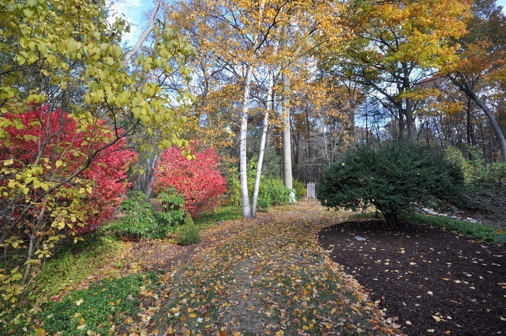 16 Francine Road Acton, MA 01720 - Photo 30 of 30 Gallery Image 30
