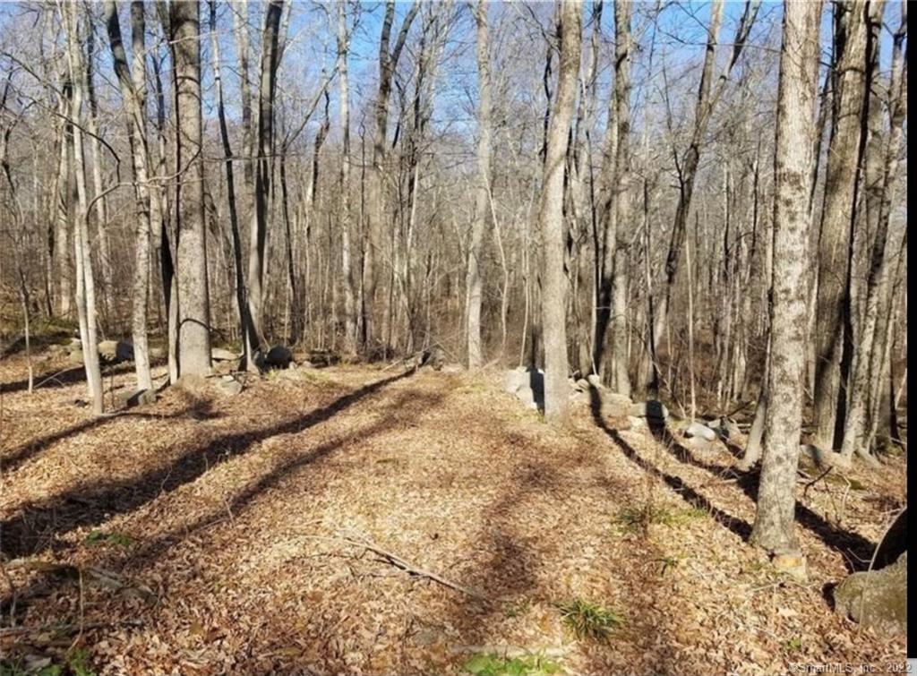 350 A Ledge Road Killingly, CT 06241 - Photo 1 of 1 a view of a backyard of the house