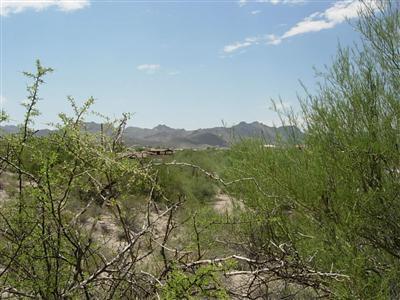 3533 West Goret Road Tucson, AZ 85745 - Photo 4 of 5 Gallery Image 4