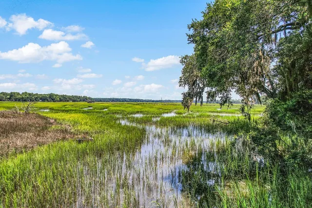 $499,900 | 1356 Fiddler Trace, Townsend, GA 31331