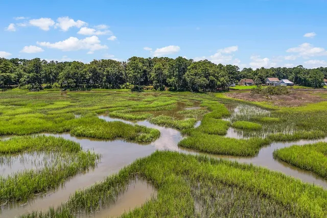 $499,900 | 1356 Fiddler Trace, Townsend, GA 31331