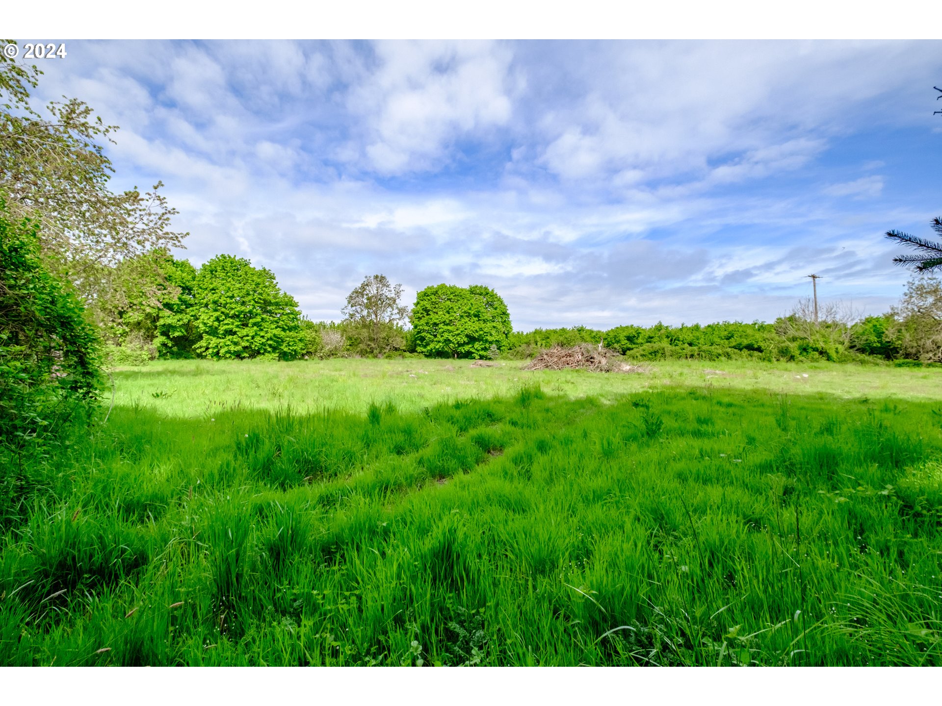 8560 Southeast Wallace Road Dayton, OR 97114 - Photo 45 of 48 a view of a big yard with a house in the background