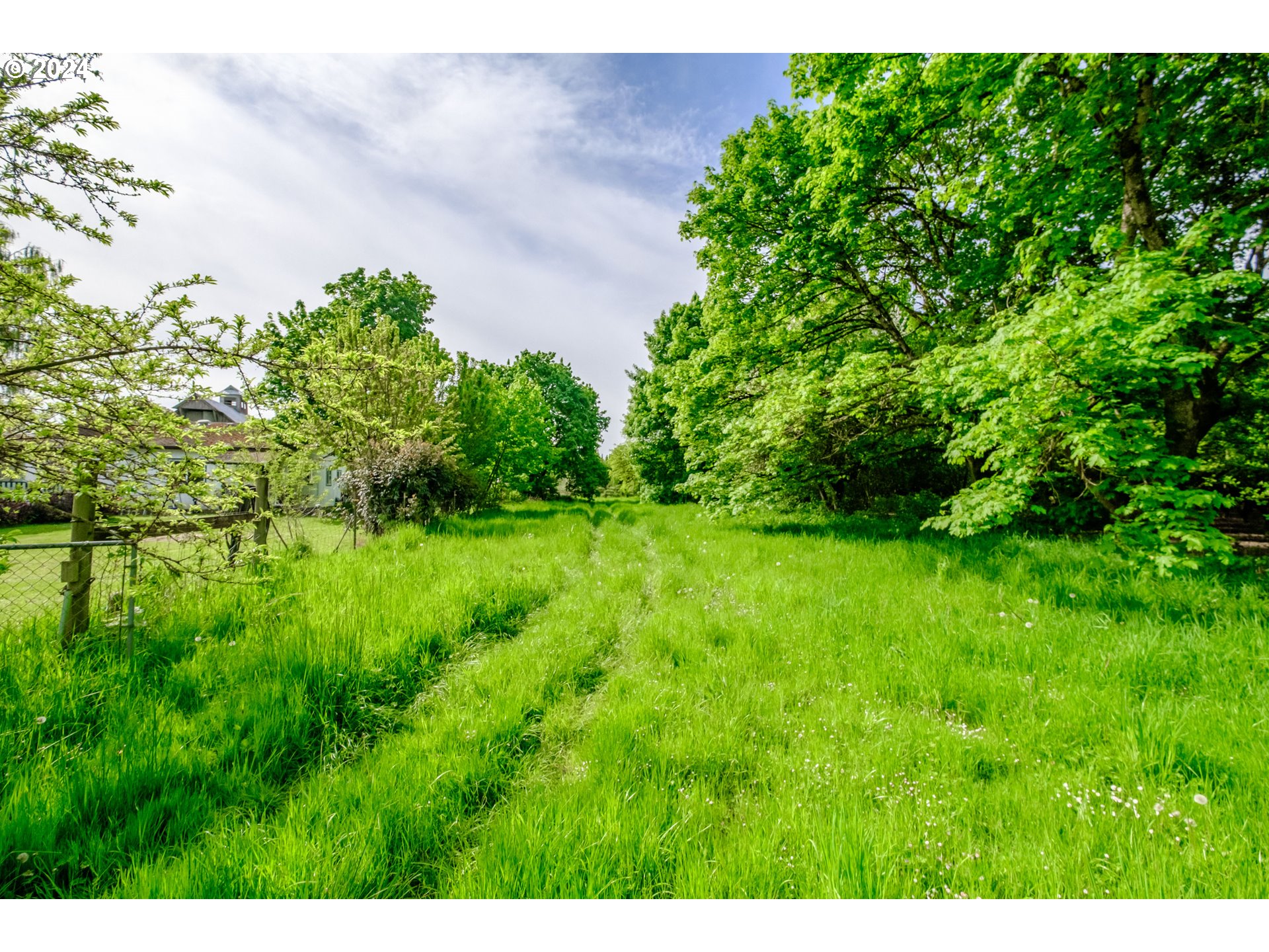 8560 Southeast Wallace Road Dayton, OR 97114 - Photo 46 of 48 a green field with lots of bushes
