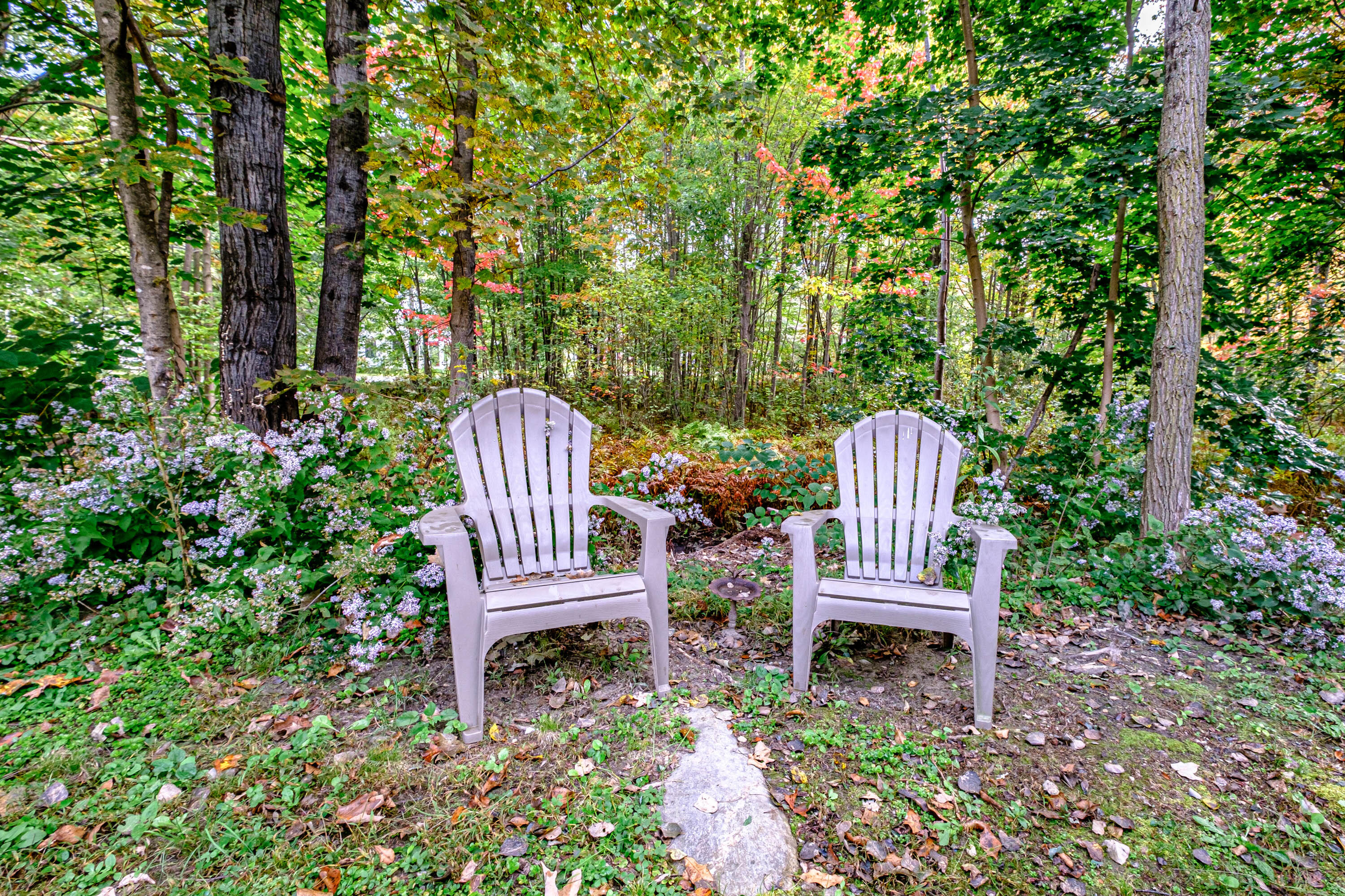 25 Paradise Road Bethel, ME 04217 - Photo 56 of 59 20230929gp-61058