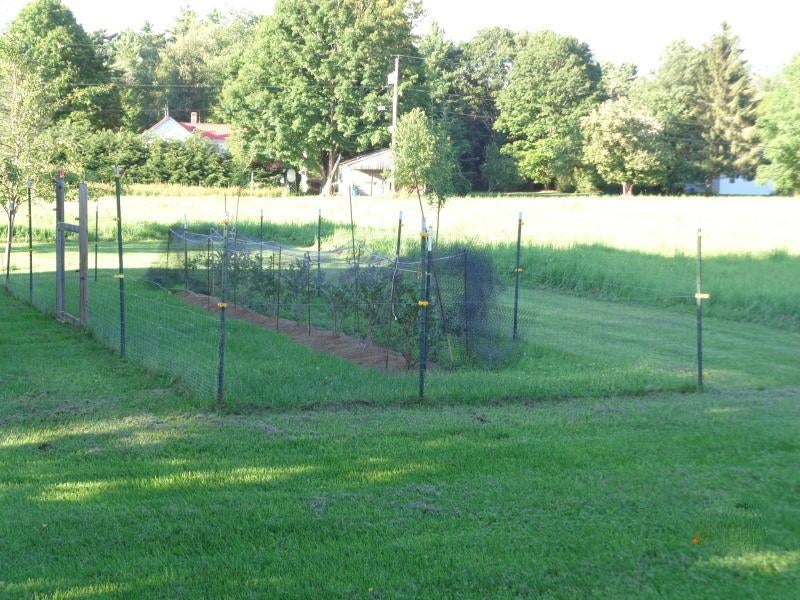 853 Back Draft Road Green Bank, WV 24944 - Photo 59 of 97 Gallery Image 59