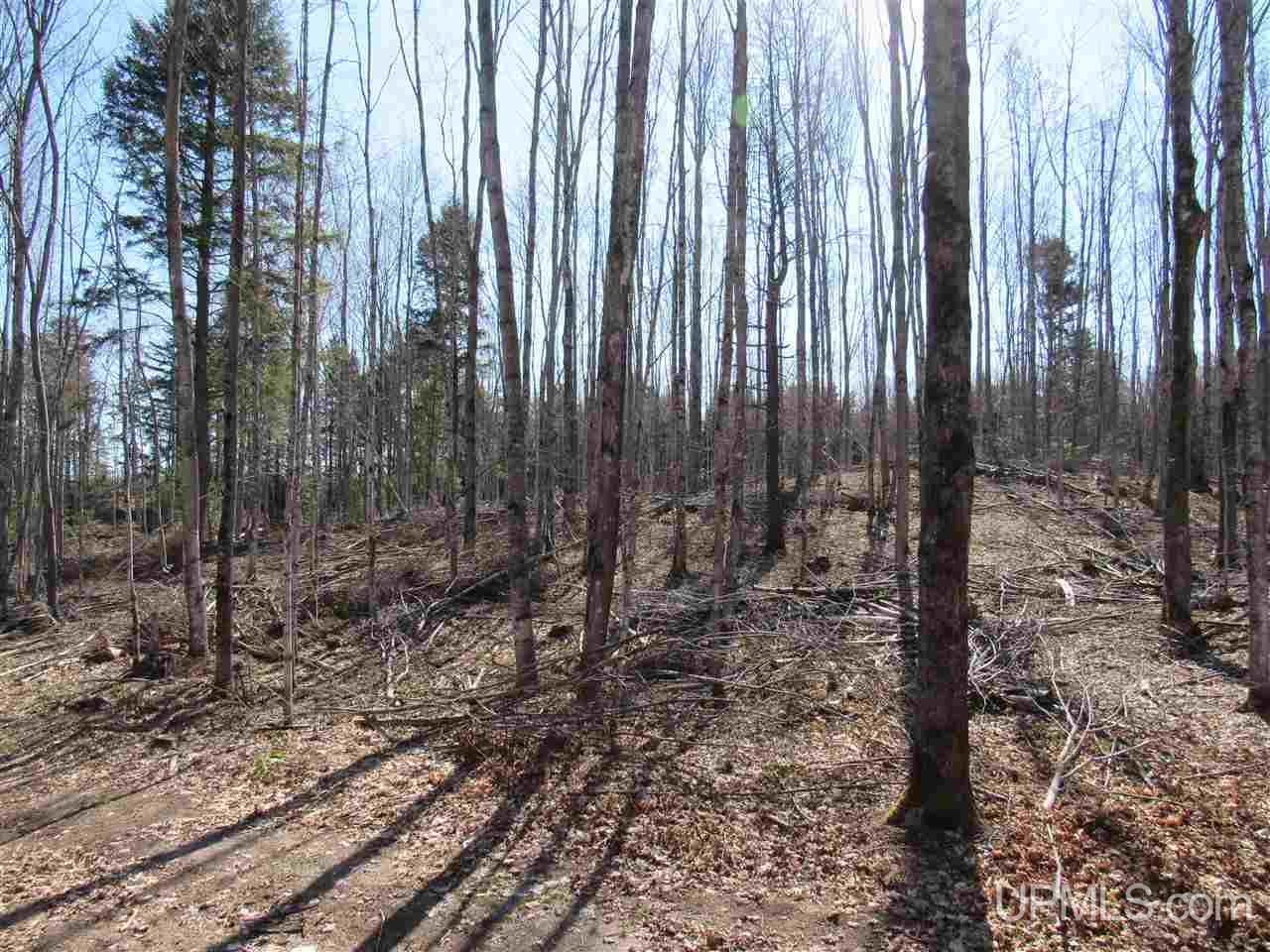 N2510 Co Rd Kch Big Bay, MI 49808 - Photo 16 of 39
