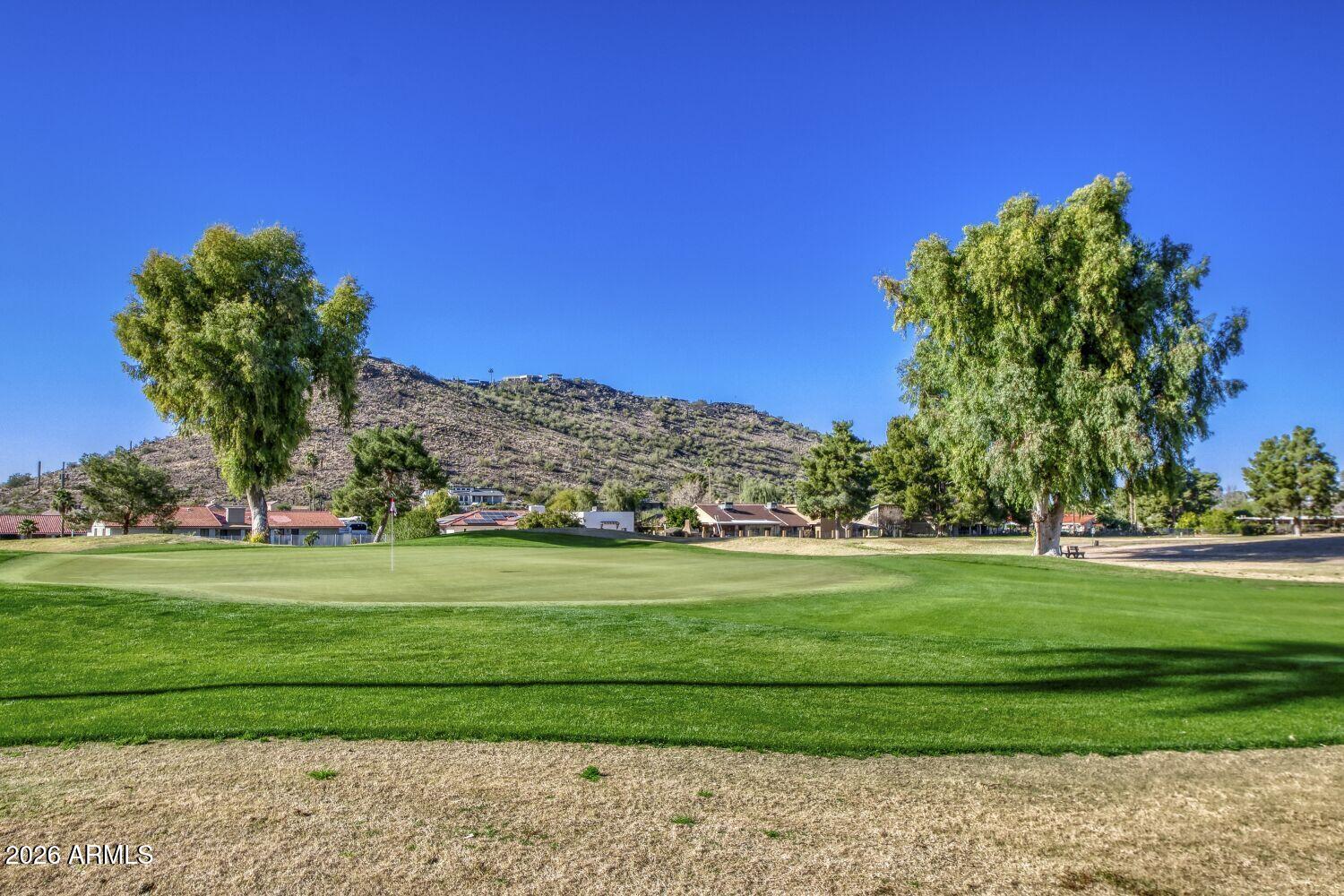 720 West Thunderbird Road Phoenix, AZ 85023 - Photo 26 of 28 a big yard with lots of tress in the background