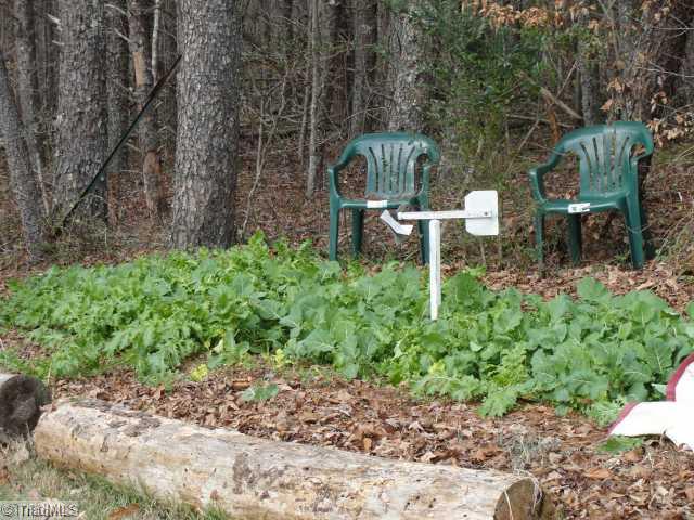 Yard/Garden. Organic Garden in Dec.
