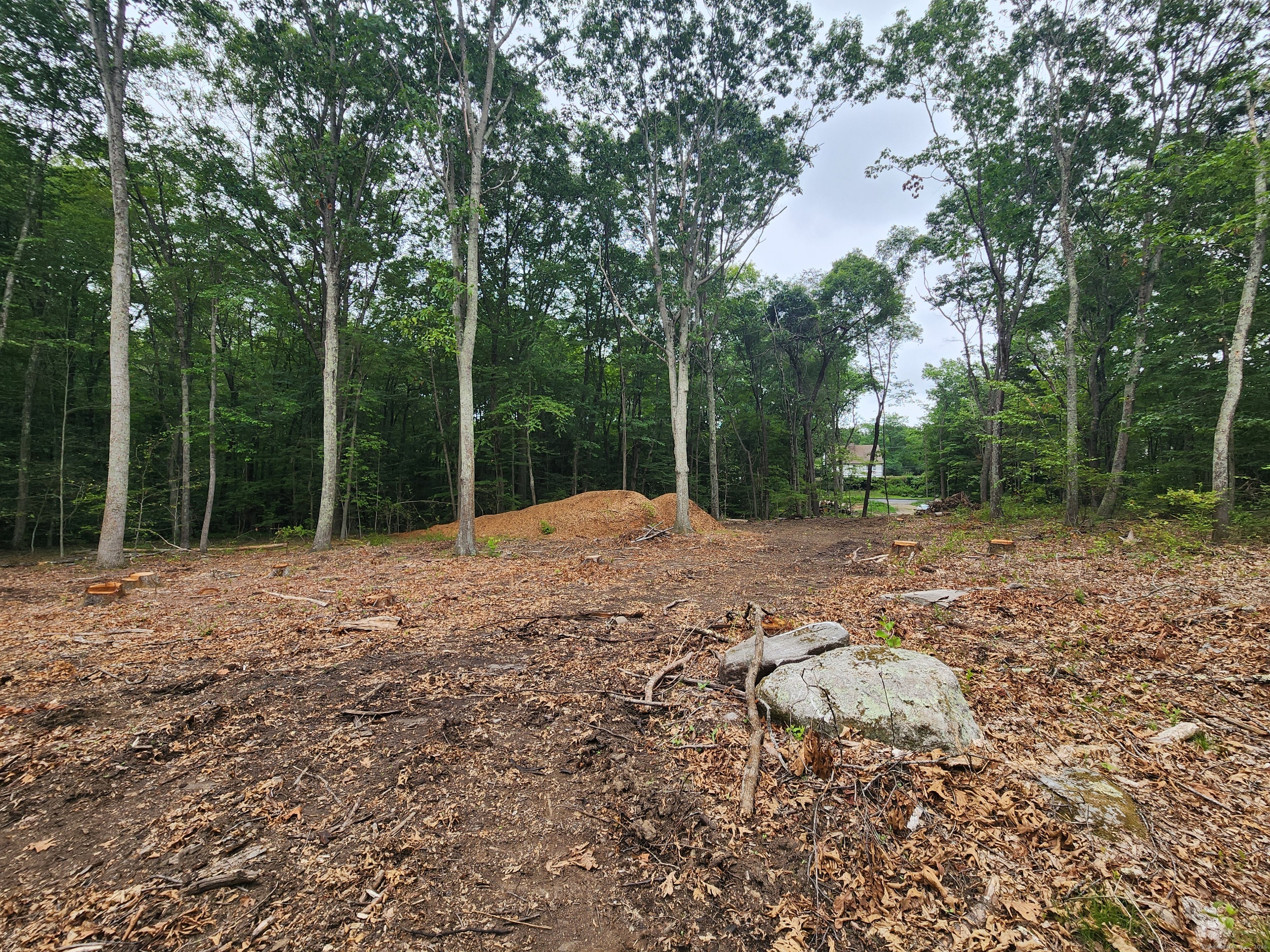 262 Highway 81 Killingworth, CT 06419 - Photo 3 of 11