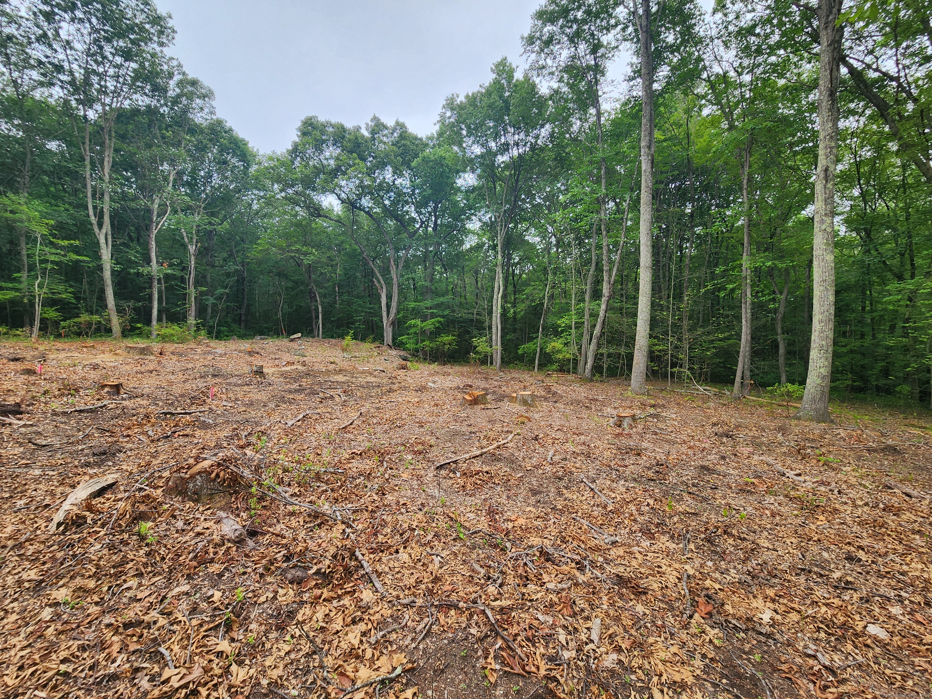 262 Highway 81 Killingworth, CT 06419 - Photo 4 of 11