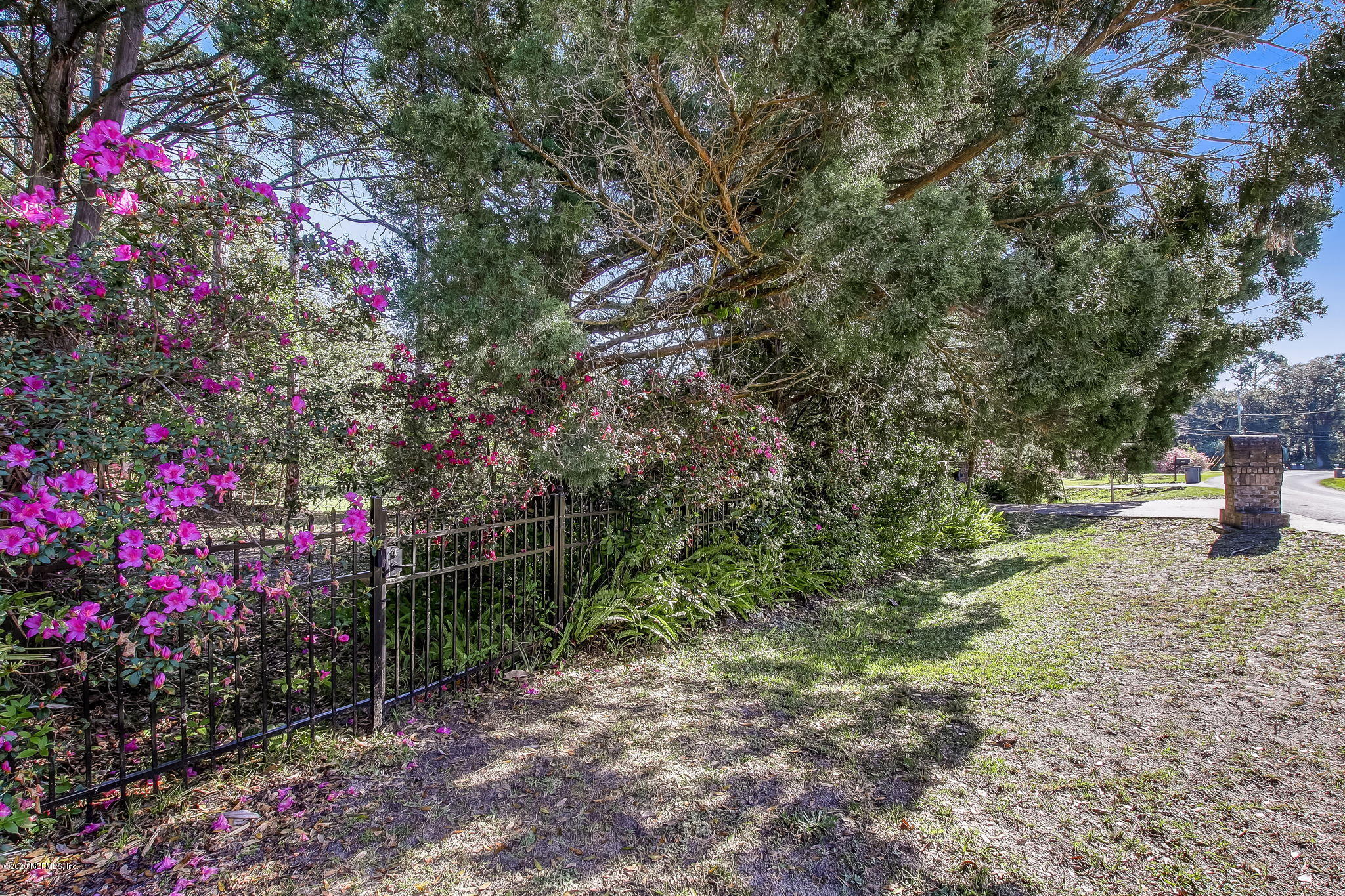 3427 Westover Road Orange Park, FL 32003 - Photo 34 of 94 Azaleas in bloom