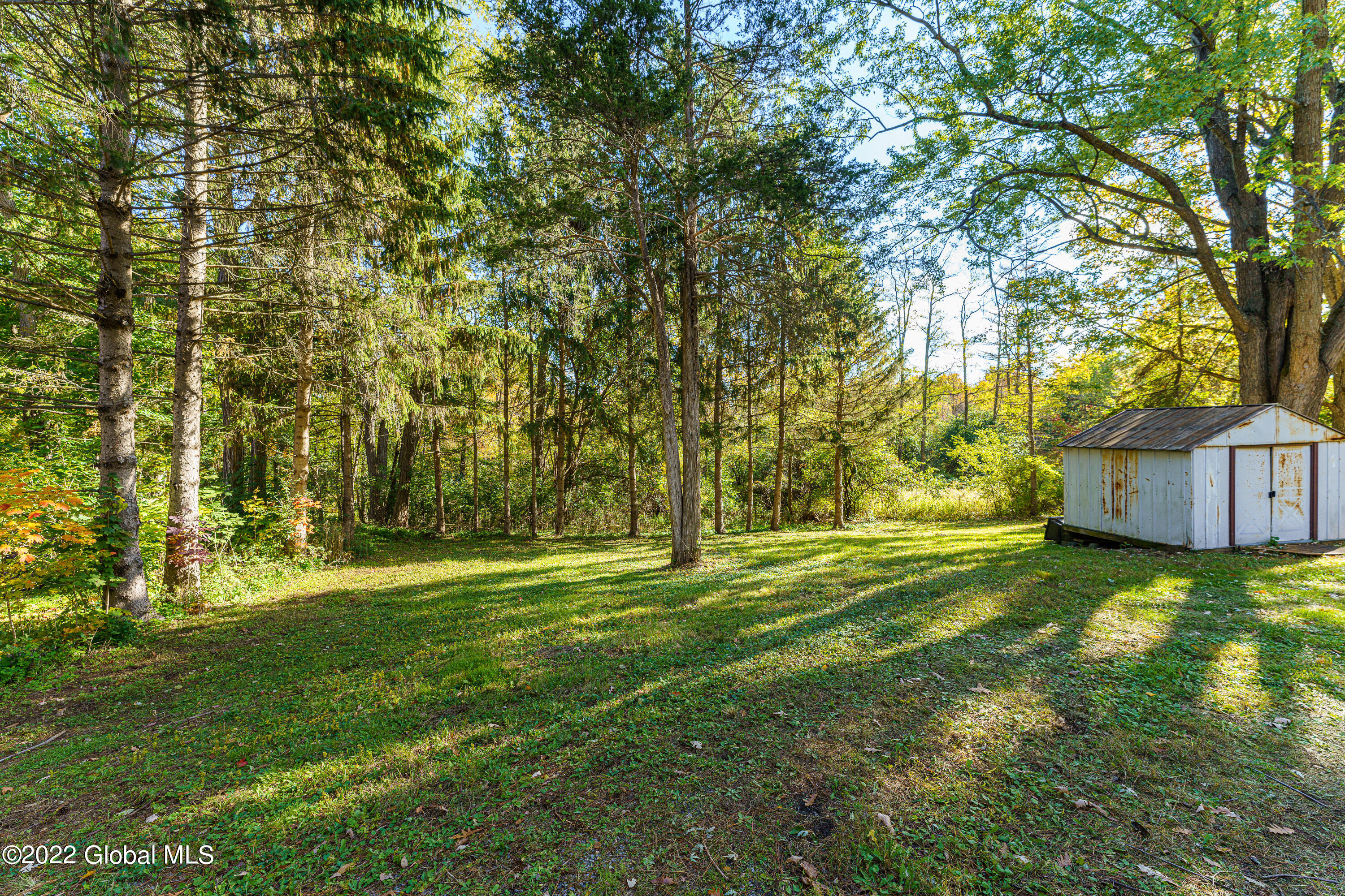9 Danvers Road Altamont, NY 12009 - Photo 28 of 31 Yard 2