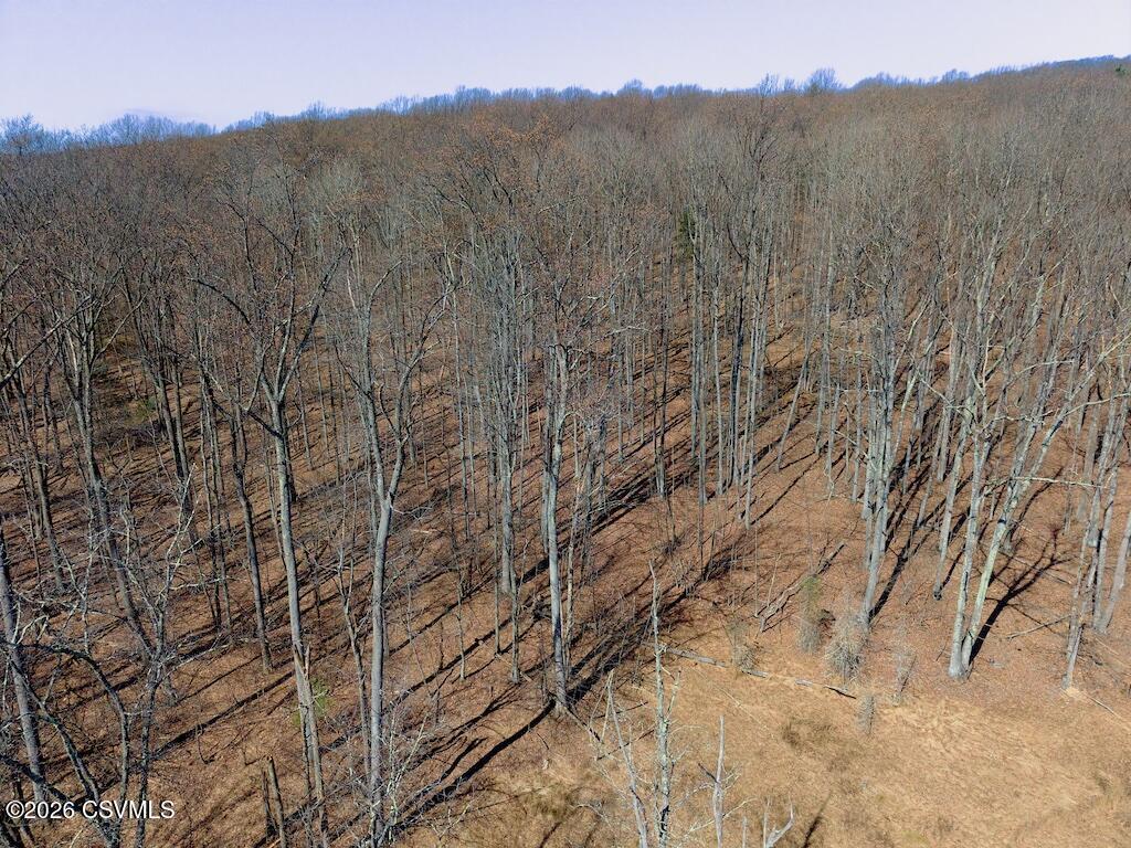 Squirrel Lane Shickshinny, PA 18655 - Photo 25 of 50