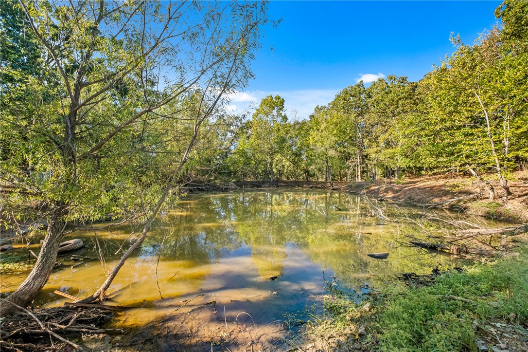 10637 Bobb Kidd Lake Road Prairie Grove, AR 72753 - Photo 27 of 41 Gallery Image 27