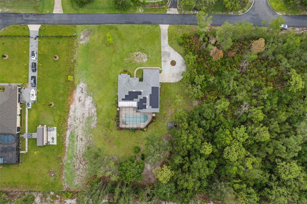 15038 Willow Lane Tavares, FL 32778 - Photo 34 of 37