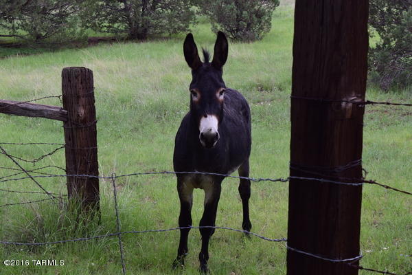 Umpire Ranch Road Elgin, AZ 85611 - Photo 25 of 27