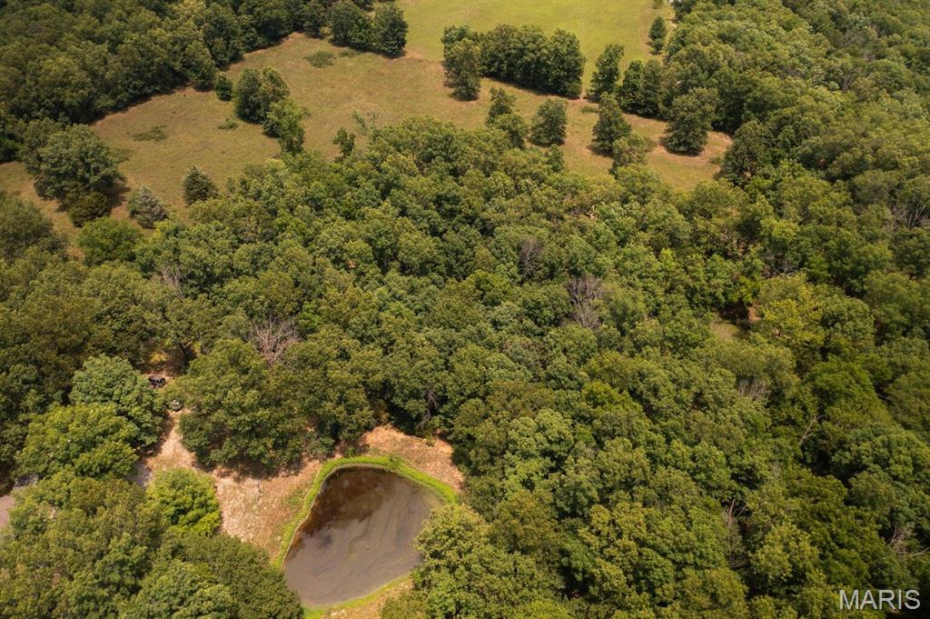 10477 M- Am Hwy Mountain Grove Mountain Grove, MO 65711 - Photo 38 of 46