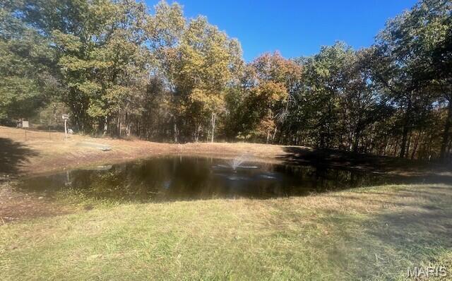 10477 M- Am Hwy Mountain Grove Mountain Grove, MO 65711 - Photo 43 of 46