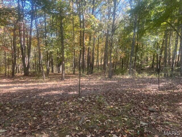 10477 M- Am Hwy Mountain Grove Mountain Grove, MO 65711 - Photo 44 of 46