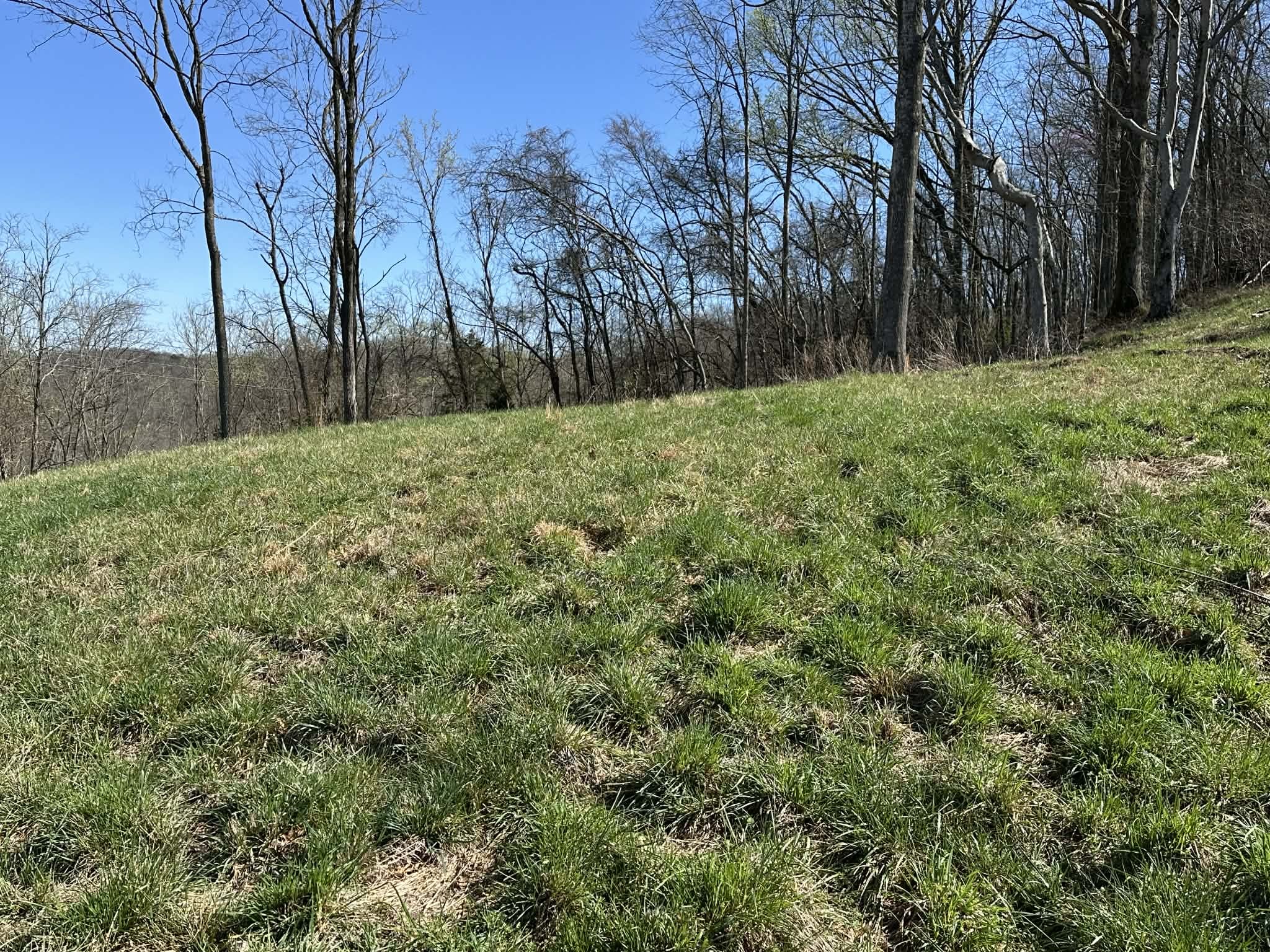 0 Fort Blount Road Hartsville, TN 37074 - Photo 2 of 7 a view of backyard with green space