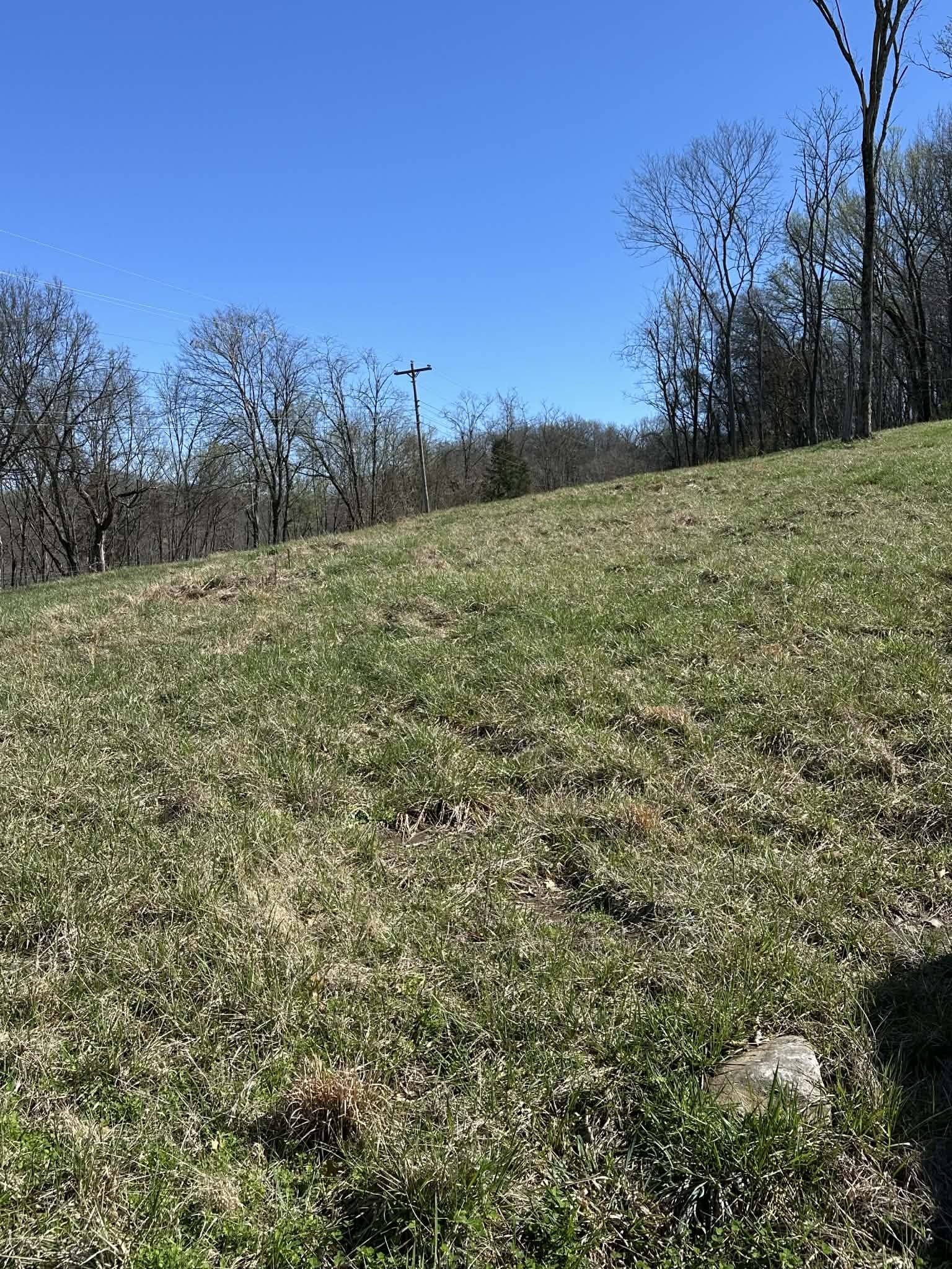 0 Fort Blount Road Hartsville, TN 37074 - Photo 3 of 7 a view of a field with trees in the background