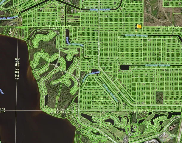 a green field with lots of green plant in front of it