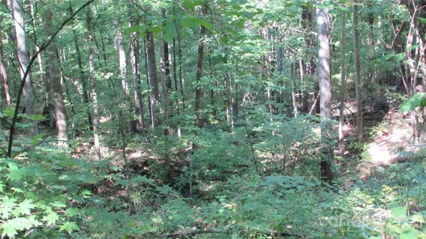 $128,000 | 17 Red Wolf Run, Unit NONE, Mars Hill, NC 28754