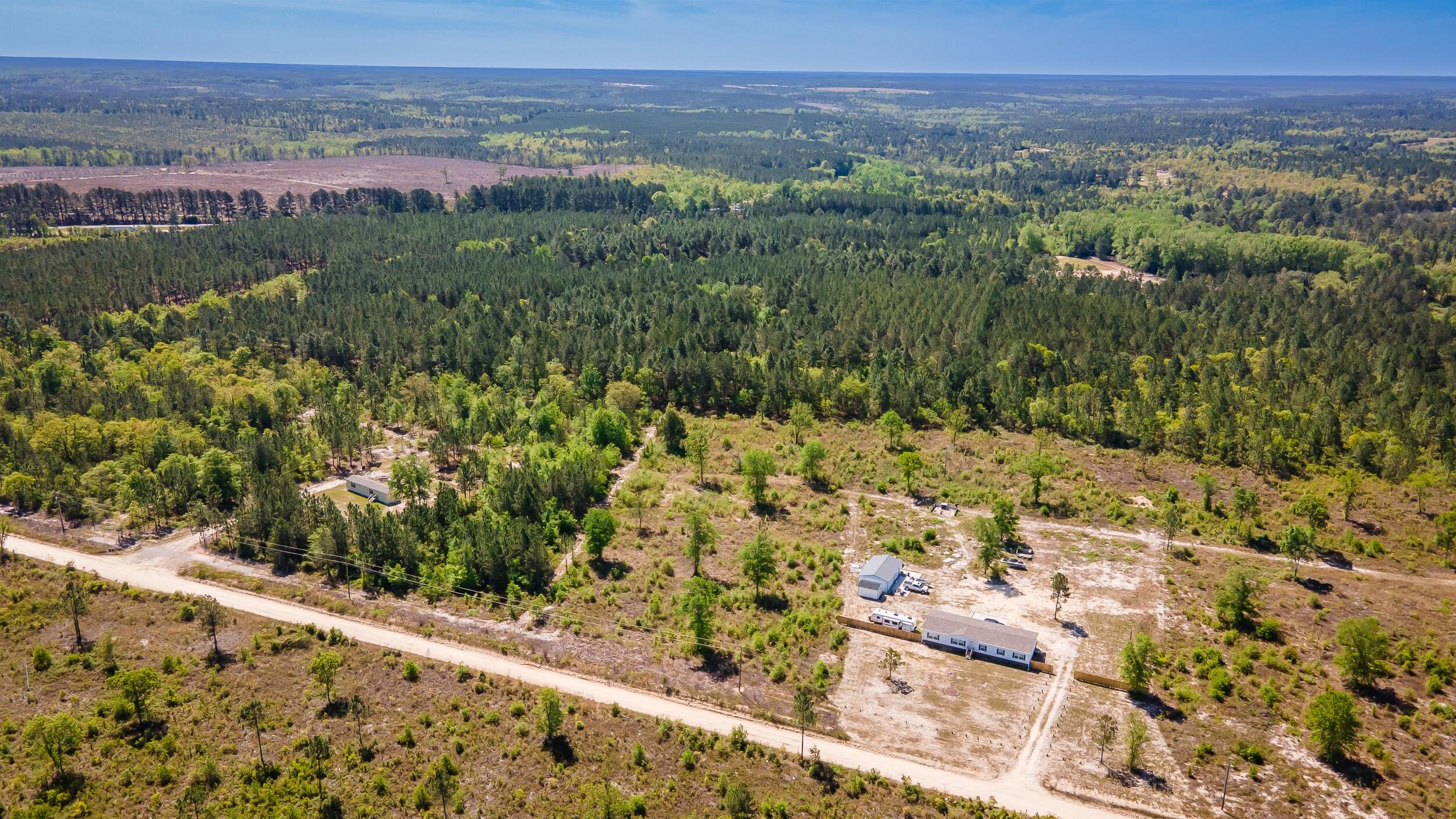 3-acres Old Shoals Road Monetta, SC 29105 - Photo 10 of 12