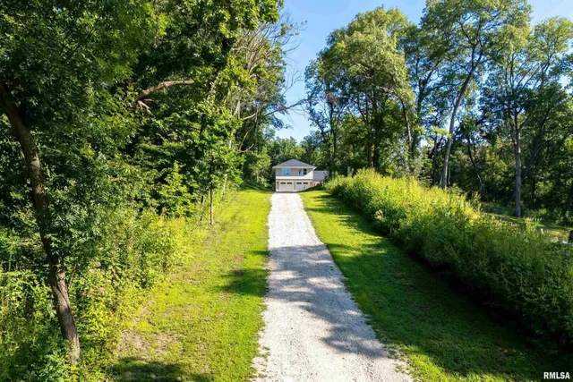 a view of a yard with plants