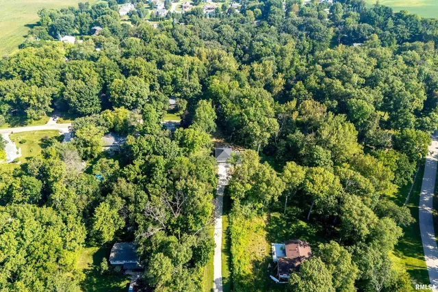 a view of a garden with plants
