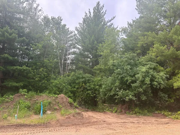 $46,900 | Lot 13-blk Brummer Drive, Randall, MN 56475