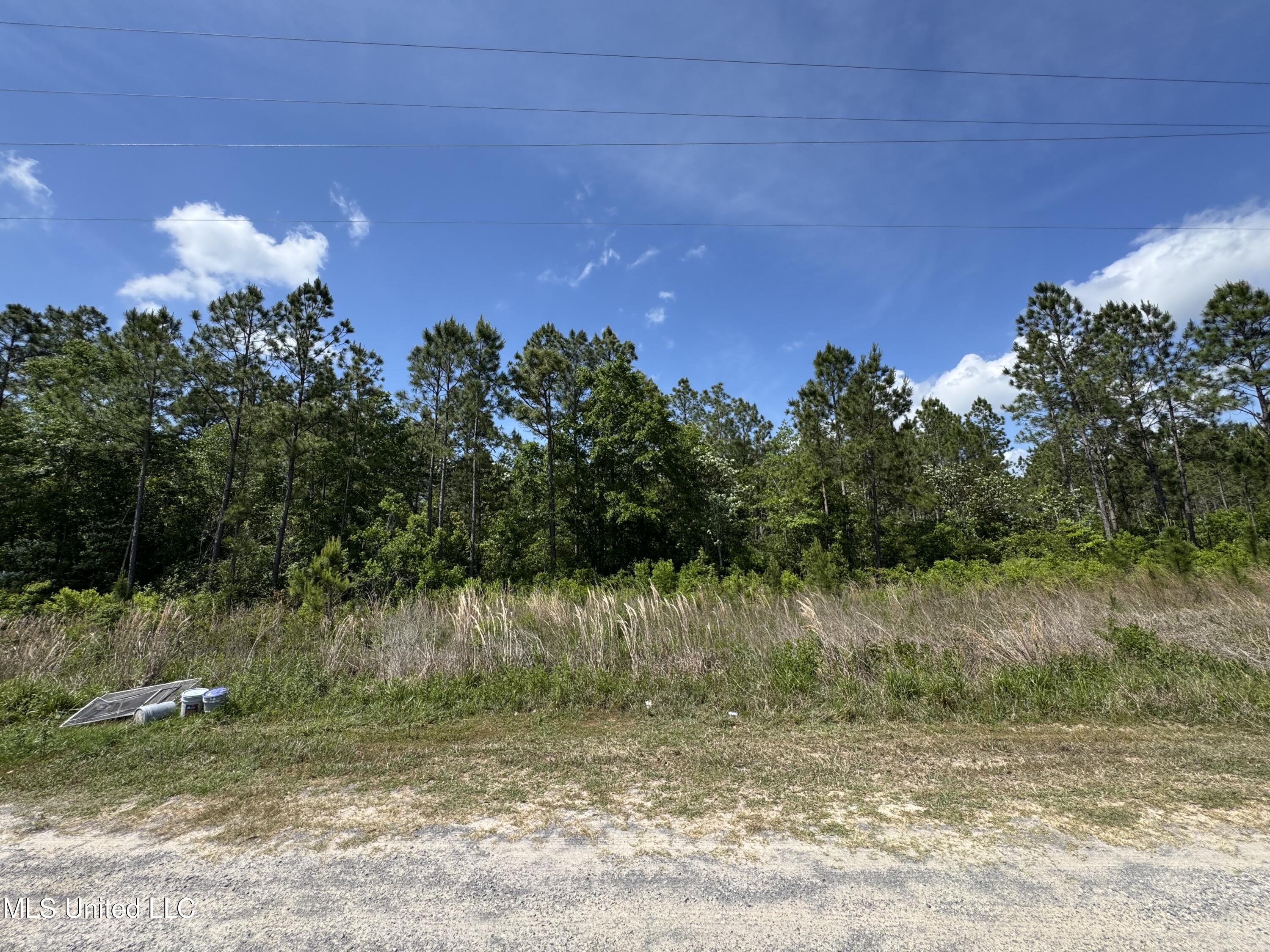 Parker Road Biloxi, MS 39532 - Photo 2 of 5 IMG_6839