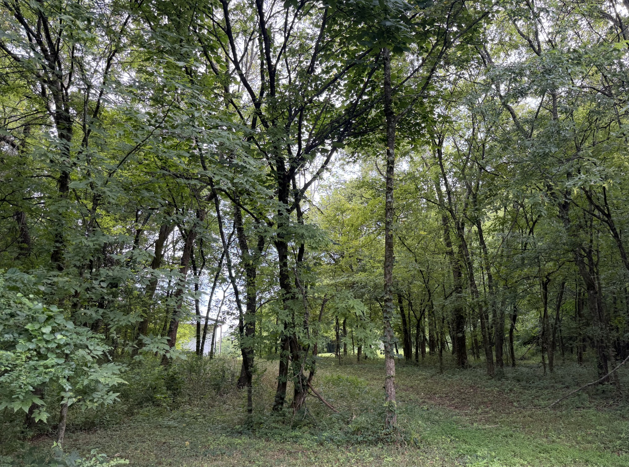 1755 Chicken Road Lebanon, TN 37090 - Photo 66 of 87 Gallery Image 66