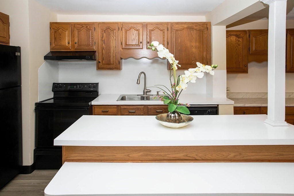 20 Wallace Street Springfield, MA 01119 - Photo 3 of 21 Gallery Image 3