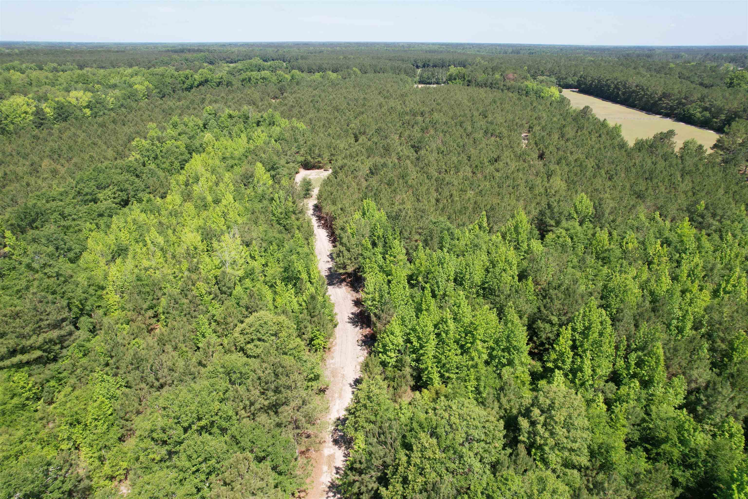 5432 June Burn Road Manning, SC 29102 - Photo 23 of 32