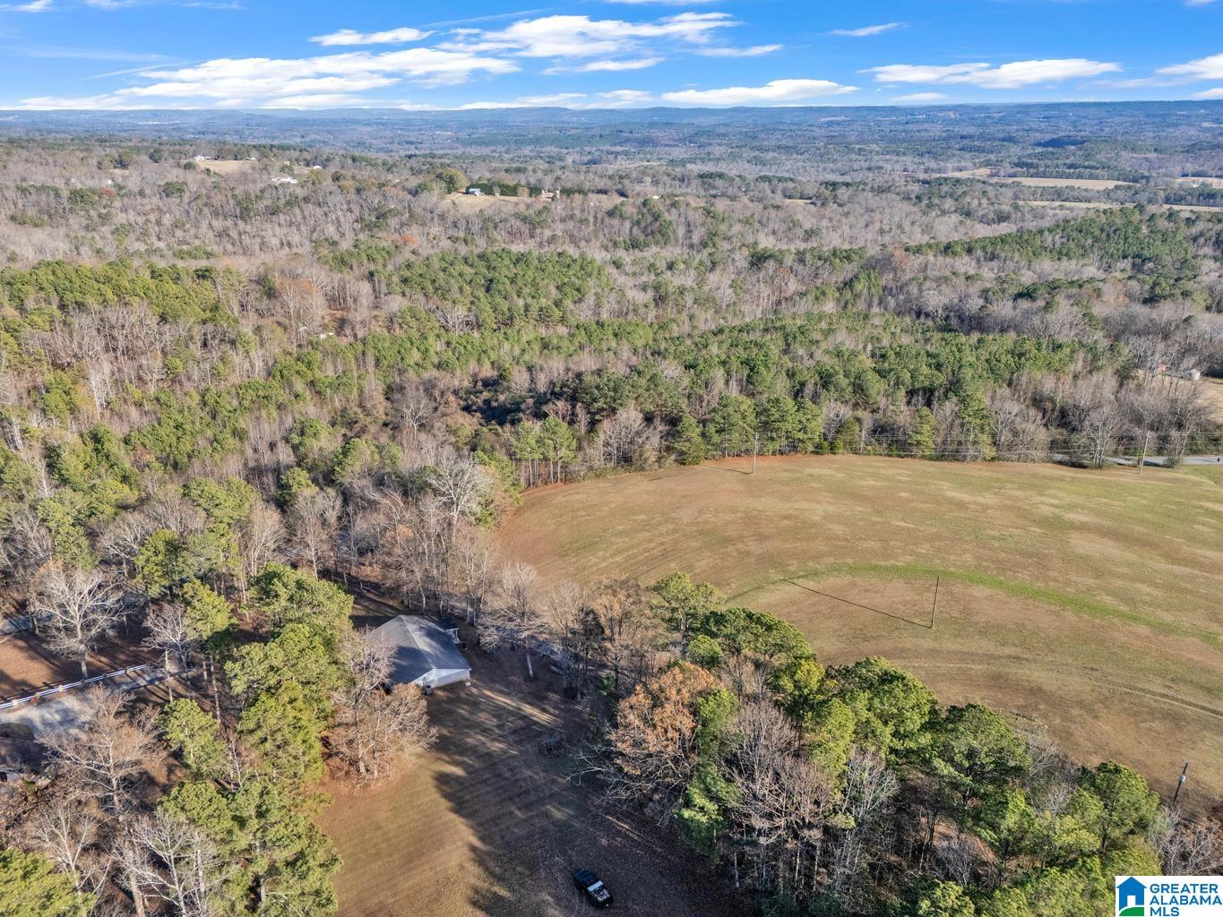 1163 Cox Cove Road Hayden, AL 35079 - Photo 46 of 48