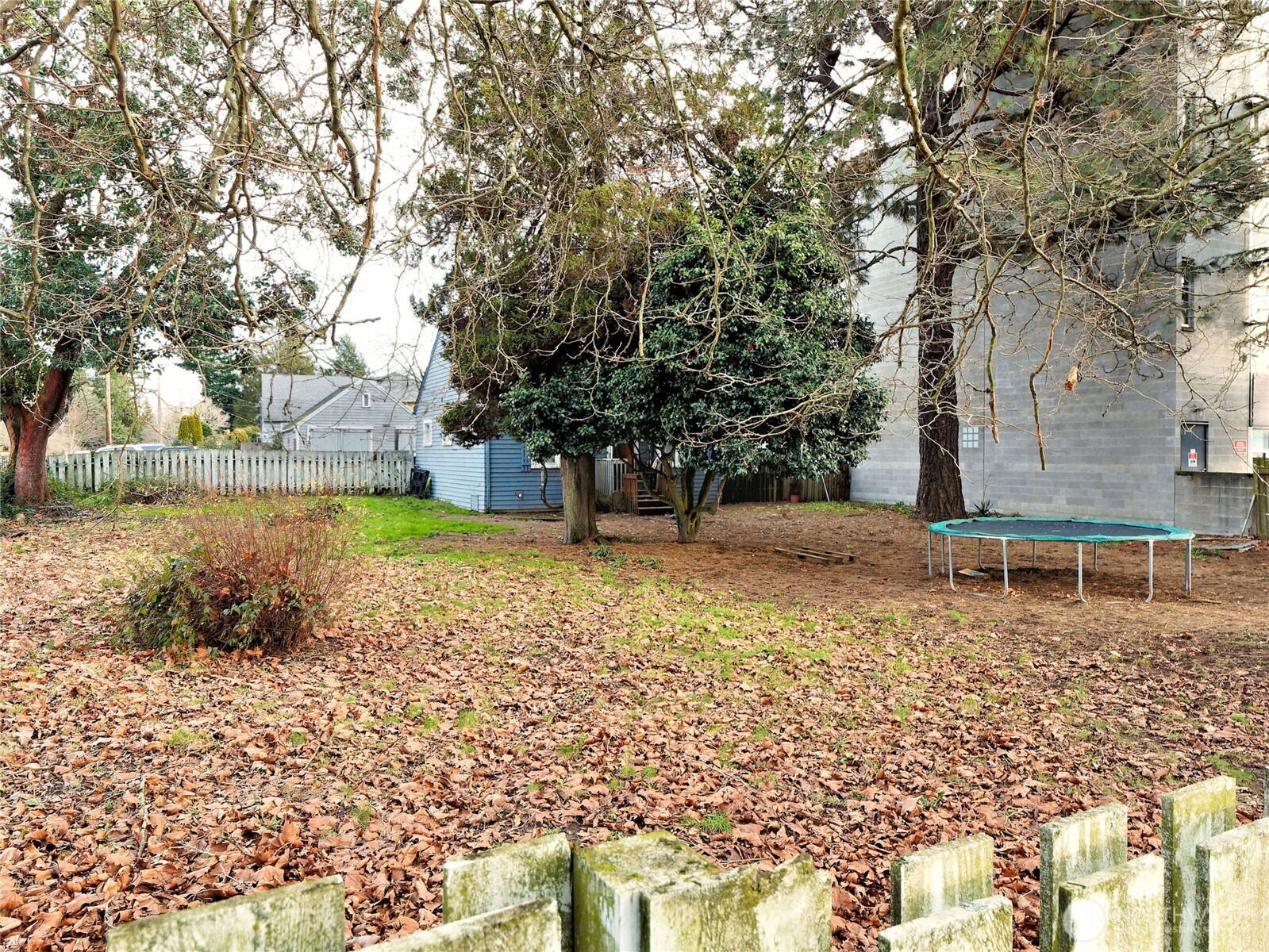 871 Southwest 135th Street Burien, WA 98146 - Photo 10 of 16 a view of a yard with plants and trees