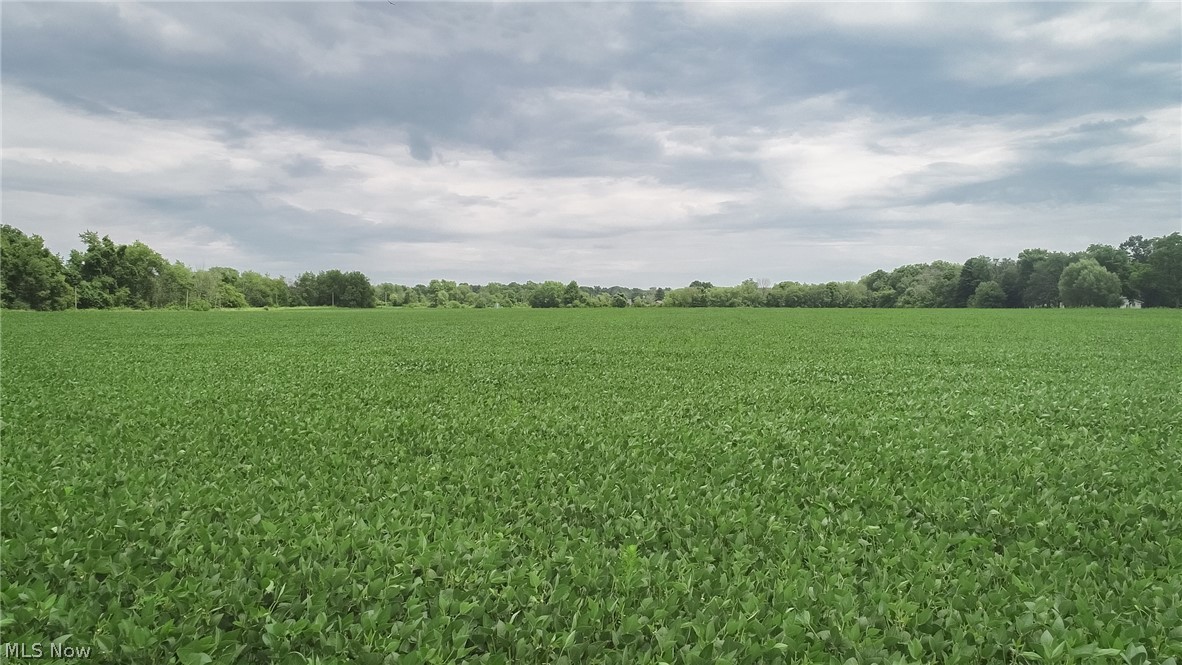 7110 Lake Road Medina, OH 44215 - Photo 18 of 22